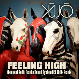 Feeling High (Remix)