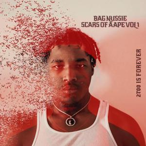 Scars Of A Ape Vol 1 (Explicit)