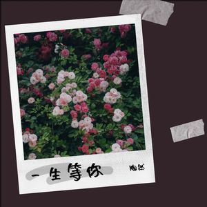 一生等你(Cover 袁娅维)