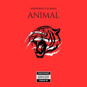 ANIMAL (Explicit)