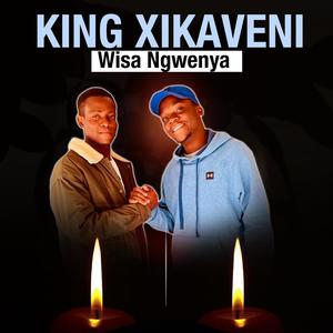 Wisa ngwenya (feat. Jb shikwambana)