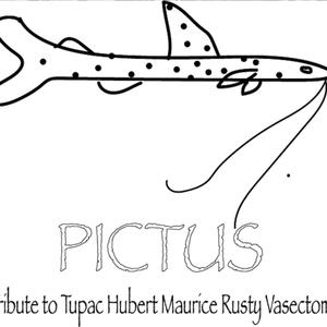 PICTUS (rusty) [Explicit]