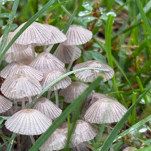 Type beat (feat. Toxik)