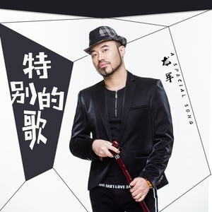 特别的歌