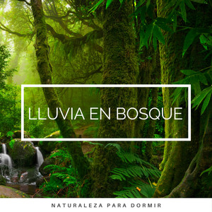 Islands of Nature Songs for REM Sleep pt. 4 (feat. The Calm Factory, Deep Sleep Nature Sounds & Relax Radio 1) (Radio Edit)