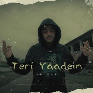 Teri Yaadein