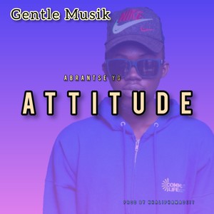 Attitude