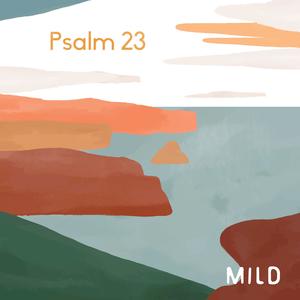 Psalm 23 (feat. Basia Pospieszalska, Michał Bąk, Krzysztof Pawłocki, Maksymilian Kreft & Michał Sasinowski)