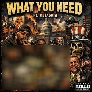 What You Need (feat. Metasota) (Explicit)