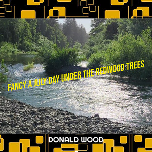 Fancy a July Day Under the Redwood Trees
