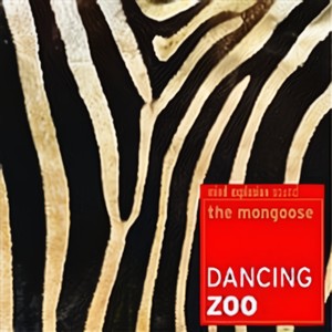 Dancing Zoo