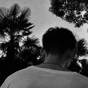 Dusk Till Dawn (remix:ZAYN|Sia)