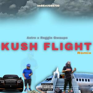 Kush Flight (Reggie Gwaupo Remix|Explicit)