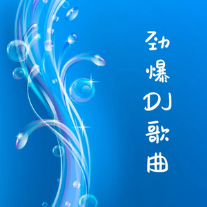 借酒浇愁 (DJ何鹏版)封面