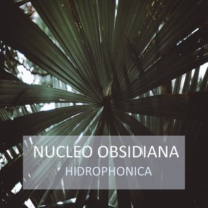 Hidrophonica