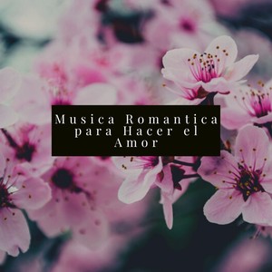 Musica Romantica para Hacer el Amor