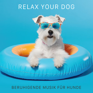 Relax Your Dog