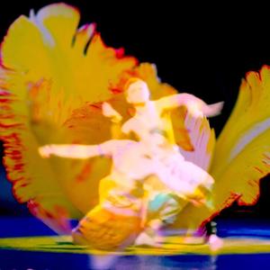 Danza dei petali (feat. Alessandra Plini)