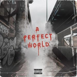 A Perfect World (Explicit)