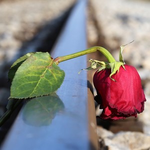 I Never Knew(feat. Teodora Gosheva)