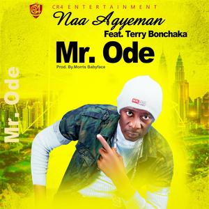 Mr Ode (feat. Terry Bonchaka)