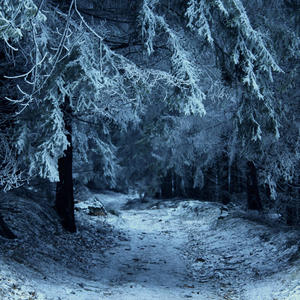 We Will Be Alright (feat. Yukidomari) (Explicit)