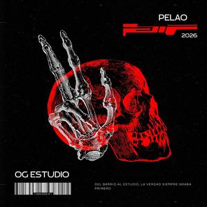 Pelao (feat. CK La Elite, Angelotti & Aries Cooper) (Explicit)