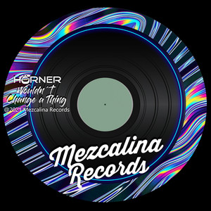 Wouldn't Change a Thing (Original Mix)