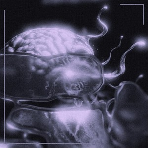 Mind Fog