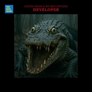 Developer
