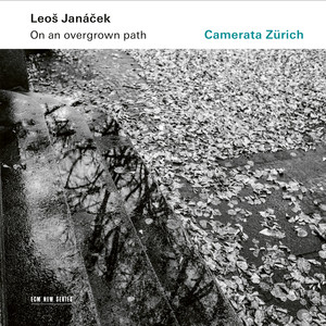 Suk - Meditation on an Old Czech Hymn 
