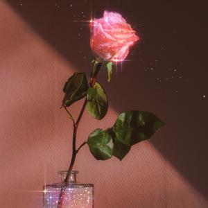 生活是鲜花，爱情是蜂蜜。