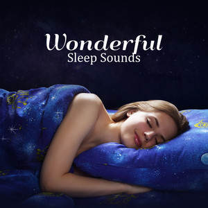 Wonderful Sleep Sounds: The Best Sleeping Collection, Relaxation & Meditation, Calm Mind, Anti Stress Music