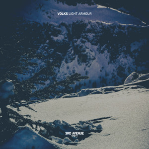 Volks - Light Armour