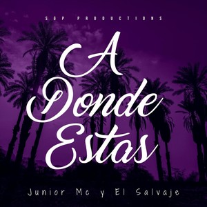 A Donde Estas (feat. El Salvaje De La Salsa)