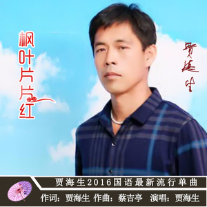 枫叶片片红