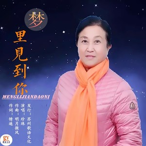 梦里见到你 (伴奏)