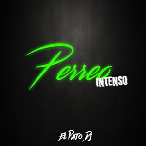 Perreo Intenso (feat. DJ MATT SEBASTIAN)