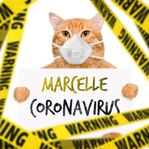 Coronavirus (Explicit)