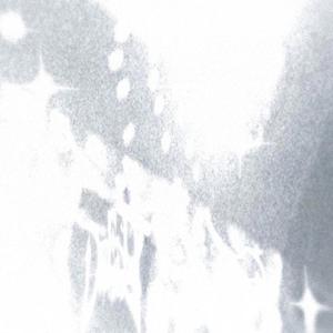 inthebag (feat. peeta) (Explicit)