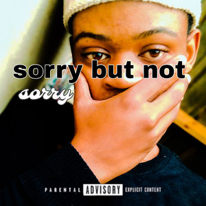 Sorry but Not Sorry (Explicit)