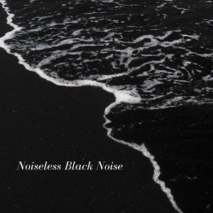 Noiseless Black Noise