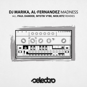 Madness (Paul Damixie Remix)
