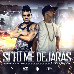 Si Tu Me Dejaras (Remix)