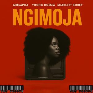 Amapiano mix (feat. Young dumza)