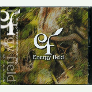 Energy field・ファーストアルバム (Energy field・First Album)