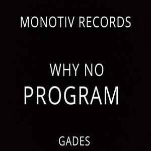 WHY NO PROGRAM (Original Mix)