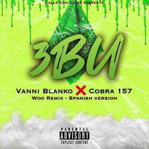 3BU (feat. Cobra157) (Explicit)