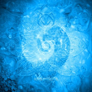 Spira Mirabilis (Original Mix)