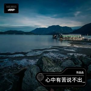 心中有苦说不出_ (Demo)
